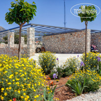 Daedalos & Ikaros Luxury Villas