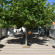Camping Chania Отель