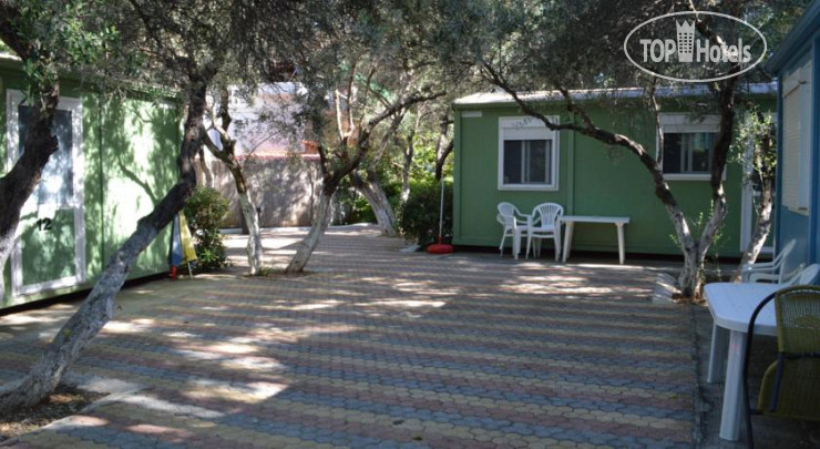 New photos from tourists Camping Chania