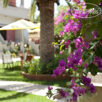 Nikolas Suites