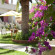 Nikolas Suites 