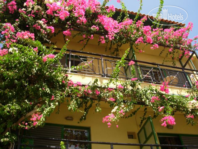 Hotelier's photos Angelikis Apartments