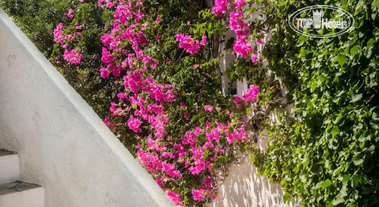New photos from tourists Ambelos Hotel Apartments