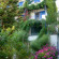 Amazona Apartments 