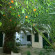 Marianna Apartments 