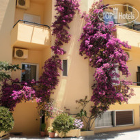 Drosia Hotel