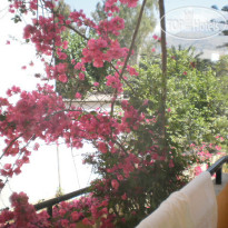 Drosia Hotel
