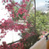 Drosia Hotel 