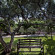 Ourania Apartments 