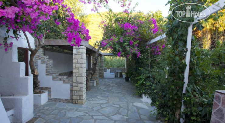 Hotelier's photos Damnoni Paradise 2*