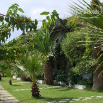 Damnoni Paradise