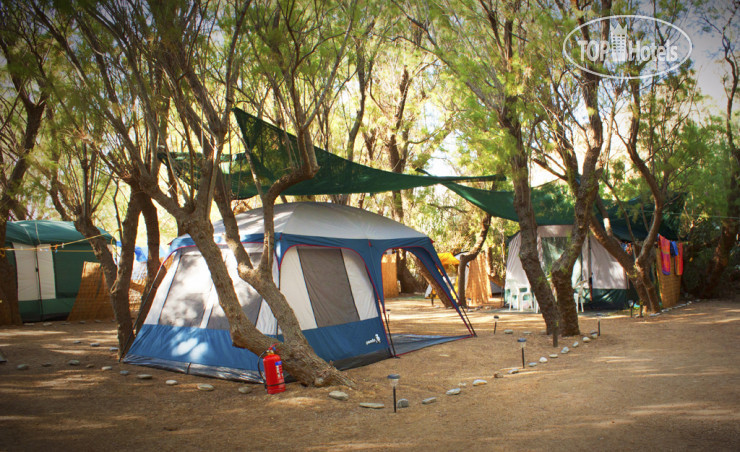 Hotelier's photos Camping Nopigia