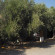 Camping Koutsounari 