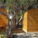 Camping Koutsounari 