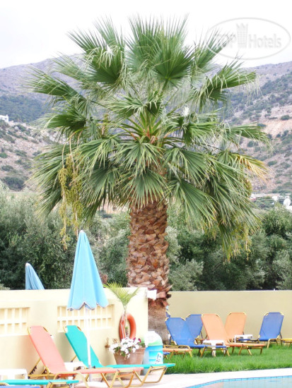 New photos from tourists Stelios Apartments