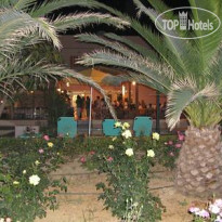 Delfina Beach 