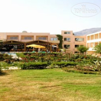 Delfina Beach 