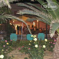 Delfina Beach 