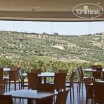 Scalani Hills Boutari Winery & Residences