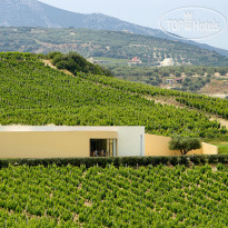 Scalani Hills Boutari Winery & Residences