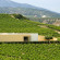 Scalani Hills Boutari Winery & Residences 