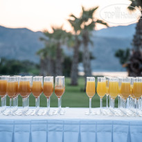 Euphoria Resort WEDDING