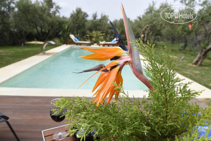 New photos from tourists Seaside Villa