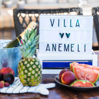 Anemeli Villa 