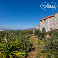 Antina Villa