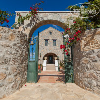 Antina Villa