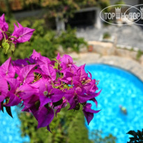 Sitia Beach Resort and Spa