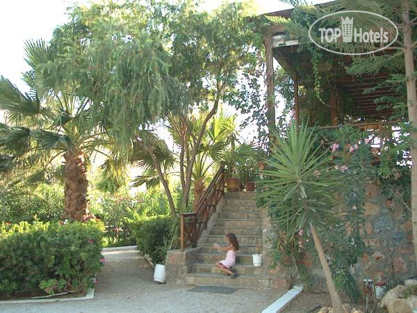 New photos from tourists Calypso Matala 3*