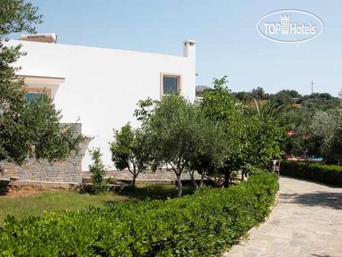New photos from tourists Paradise Primavera Apartments APT