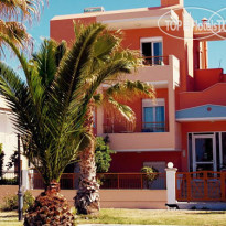 Aristea