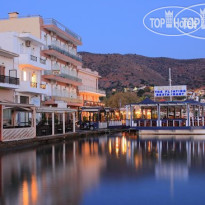 Aristea
