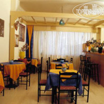 Aristea 