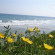 Shotels Sunset Beach