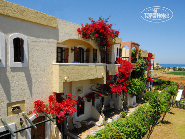 Hotel photo Malia Studios 2*