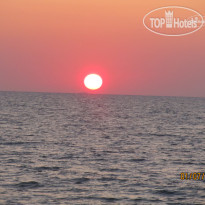 Diogenis Blue Palace 