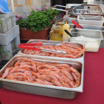 Diogenis Blue Palace 