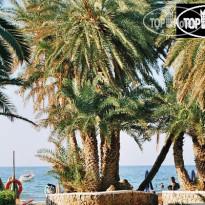 Zeus Hotels Palm Beach