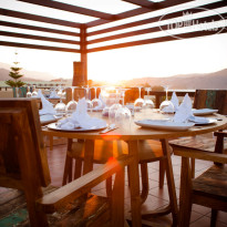 Pilot Beach Resort and Spa