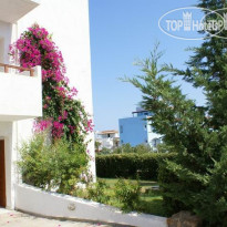 Kyknos Beach Hotel & Bungalows 