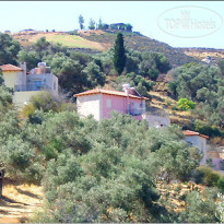 Great Escape Villas 