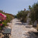 Lassion Beach Hotel 