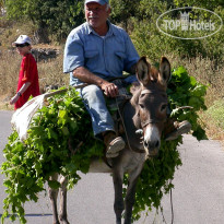 Enagron Ecotourism Village 