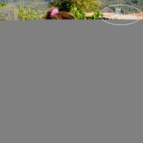 Enagron Ecotourism Village 