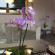 Iviskos Hotel 