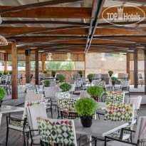 Dolce Athens Attica Riviera Ammos Restaurant