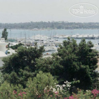 Palmyra Beach 